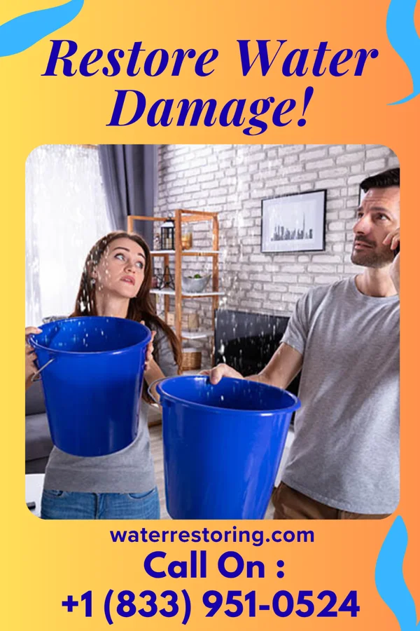 water restoration Vigilant Water Cleanup Contractors Northport