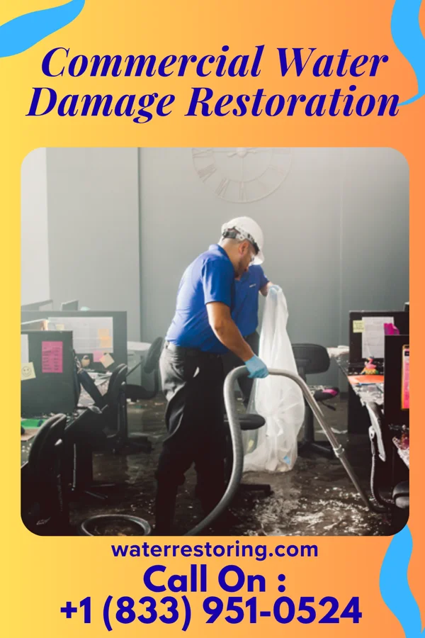 Commercial Water Damage Restoration in Northport, MI