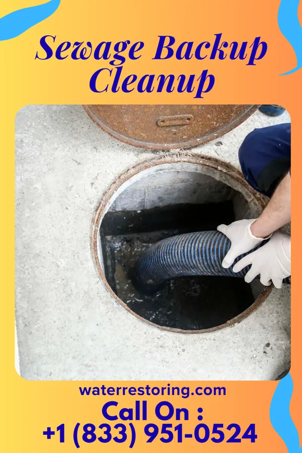 Sewage Backup Cleanup in Northport, MI