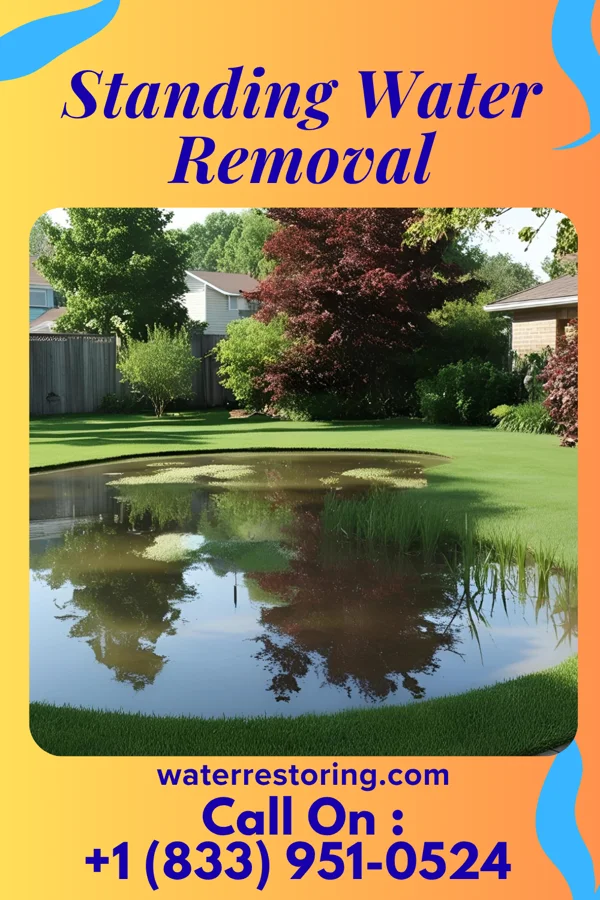 Standing Water Removal in Northport, MI